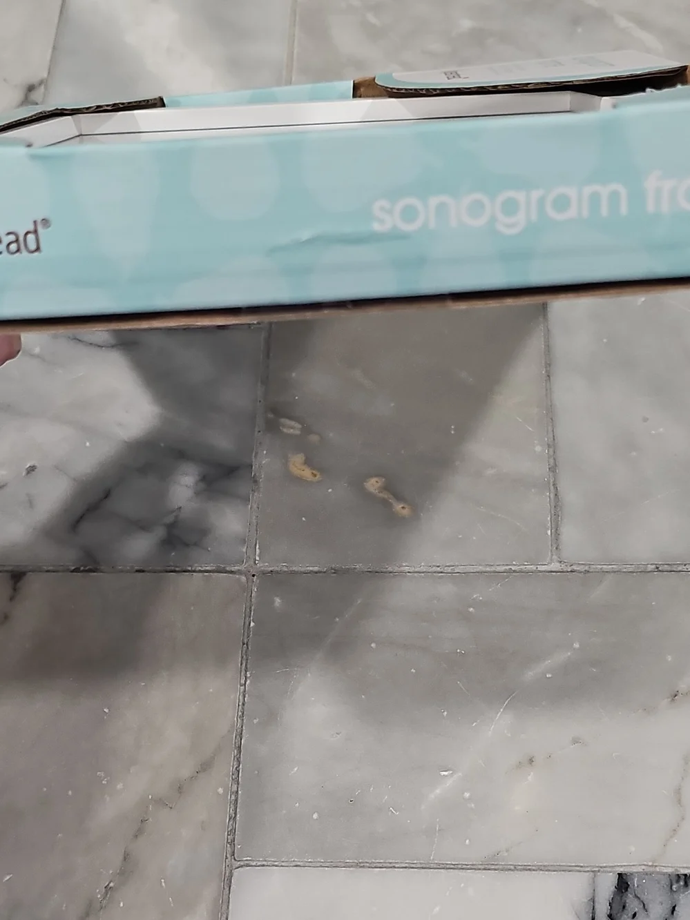 8Pearhead White 'Love at First Sight' Sonogram Picture Frame NIB